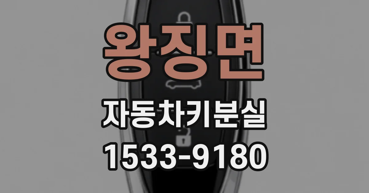 왕징면 자동차키분실