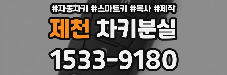 제천 차키분실