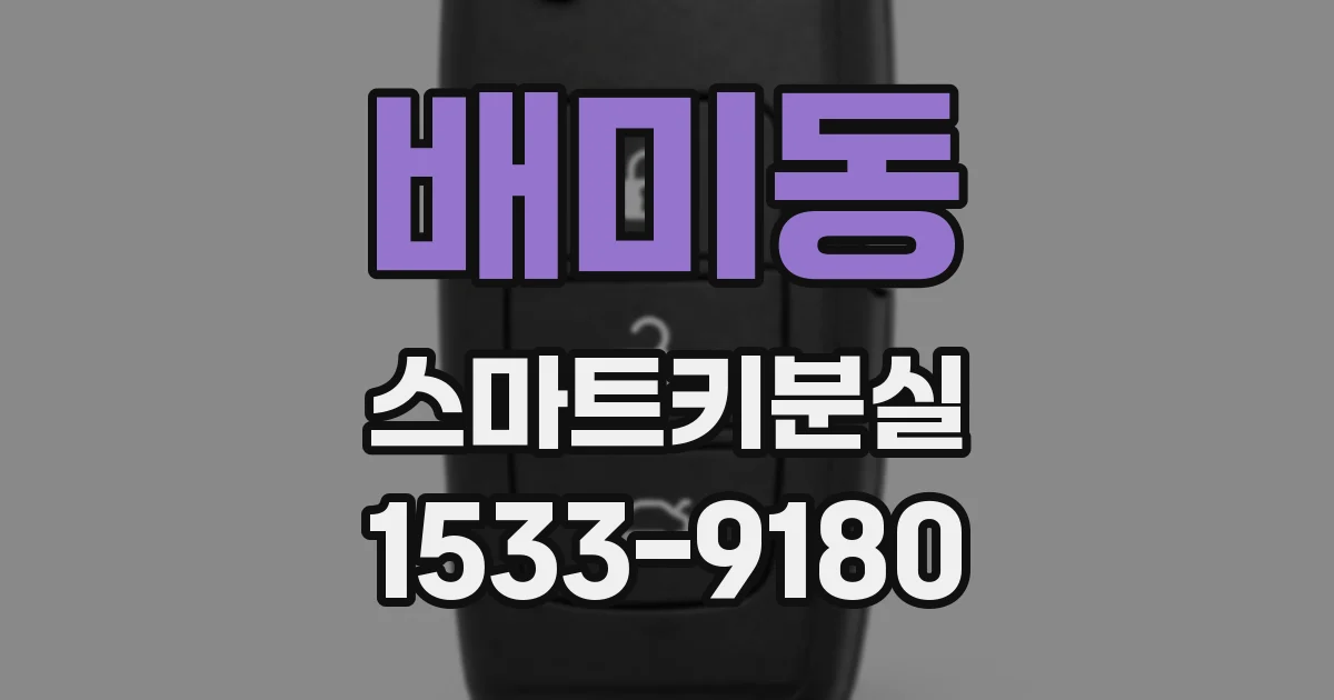 배미동 스마트키분실