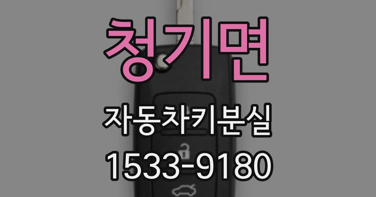 청기면 자동차키분실