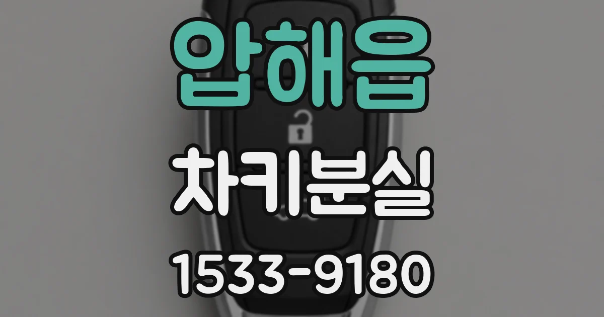 압해읍 차키분실