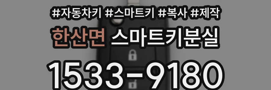 한산면 스마트키분실