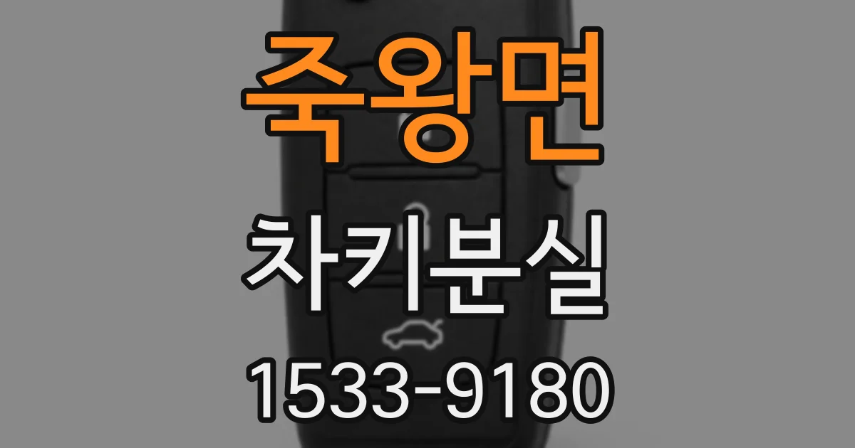죽왕면 차키분실