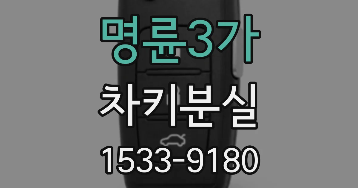 명륜3가 차키분실