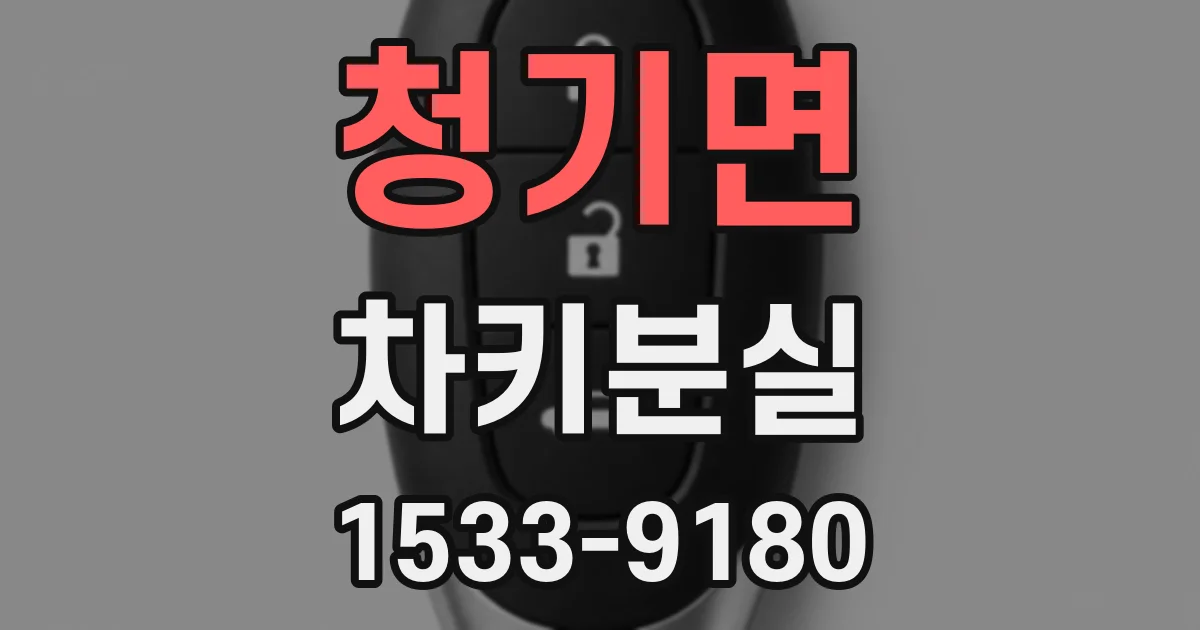 청기면 차키분실