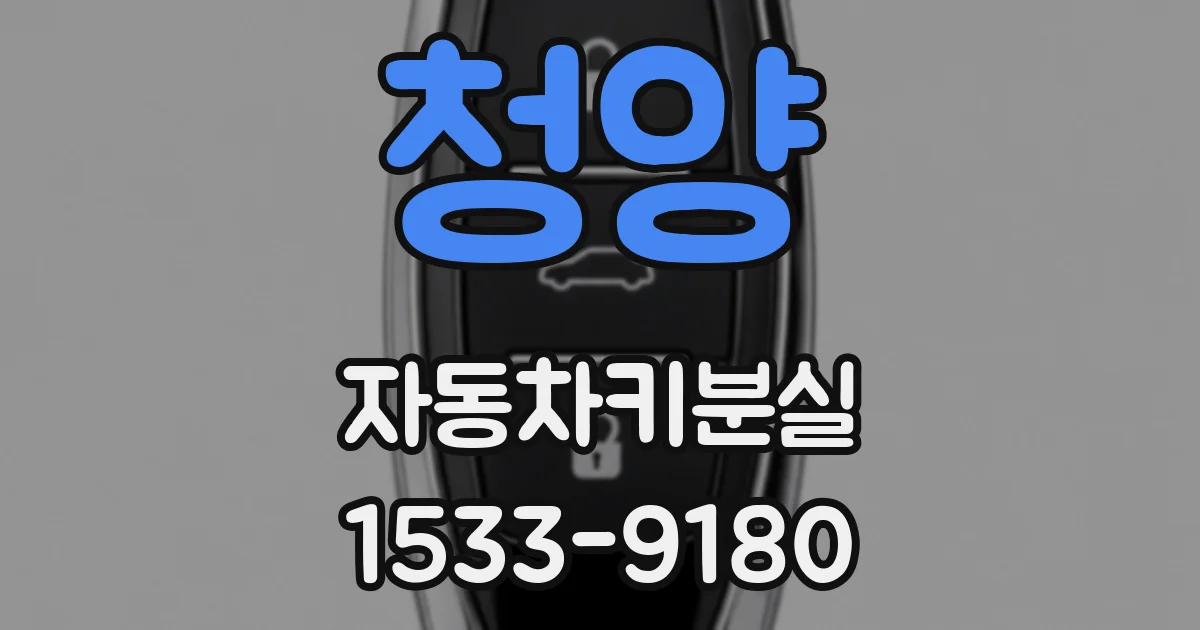 청양 자동차키분실