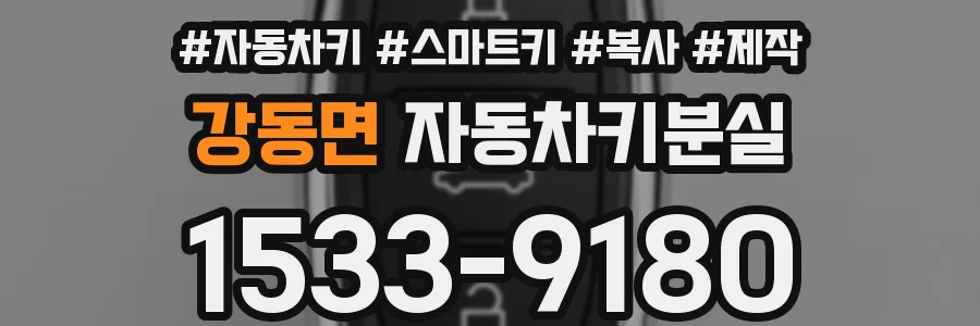강동면 자동차키분실