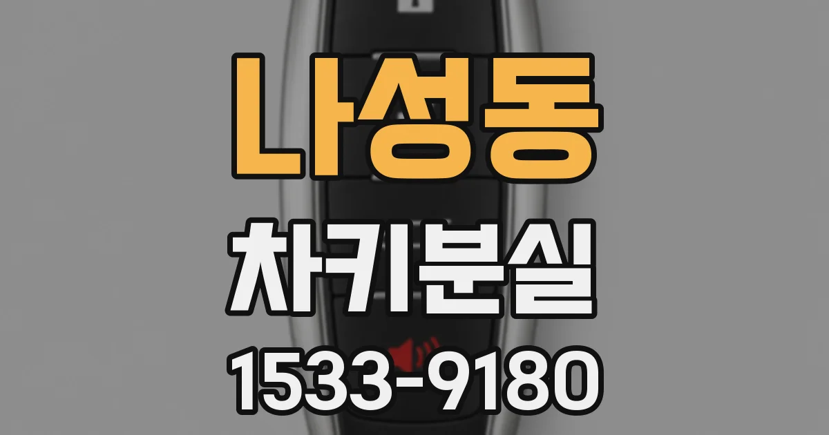 나성동 차키분실