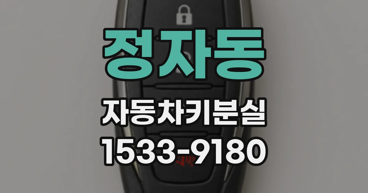 정자동 자동차키분실