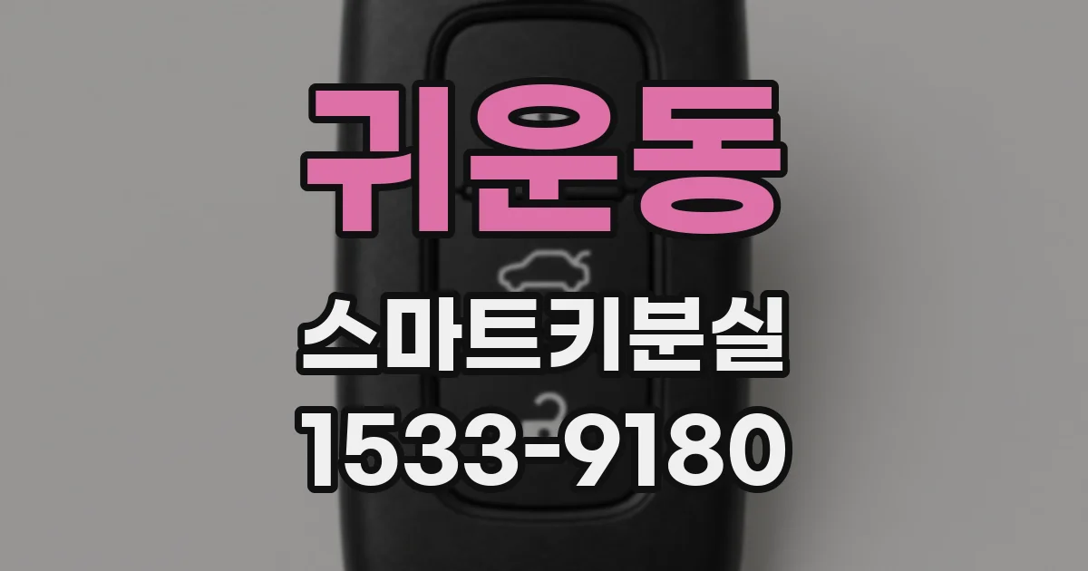 귀운동 스마트키분실
