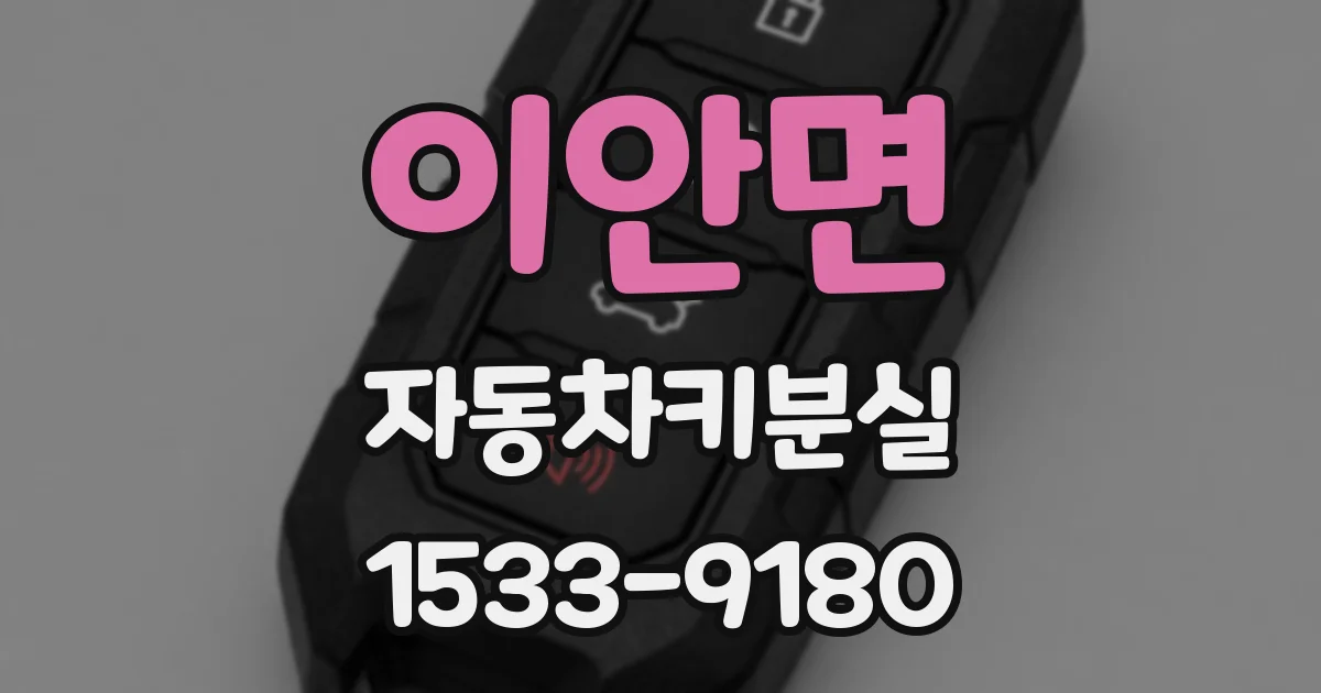 이안면 자동차키분실