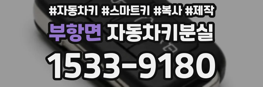 부항면 자동차키분실