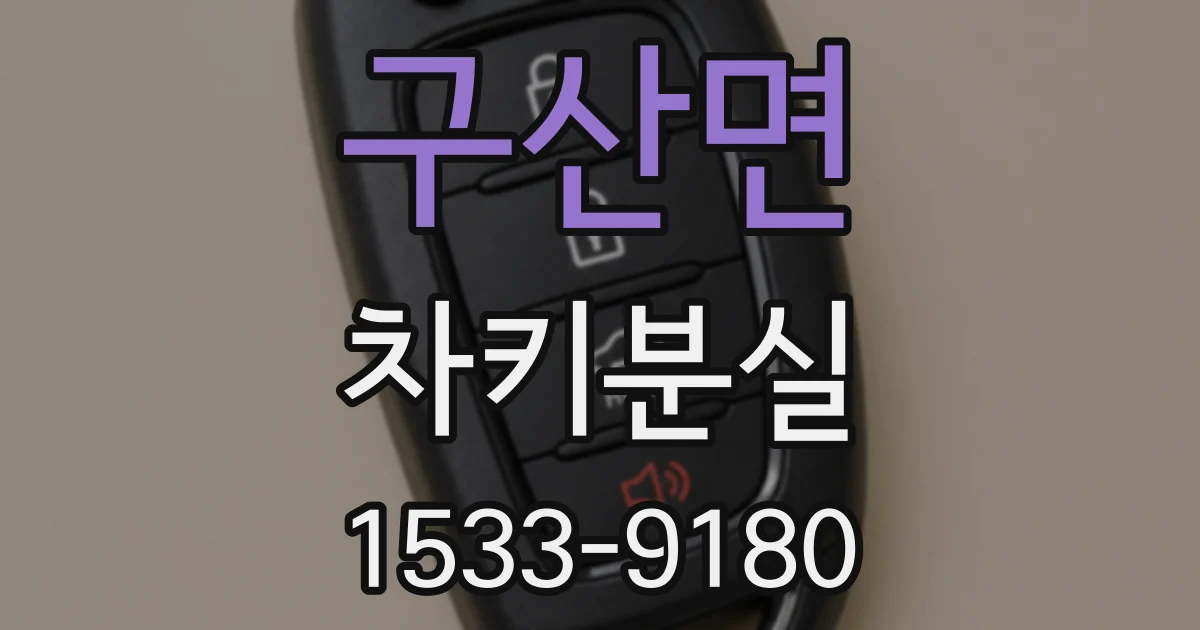구산면 차키분실