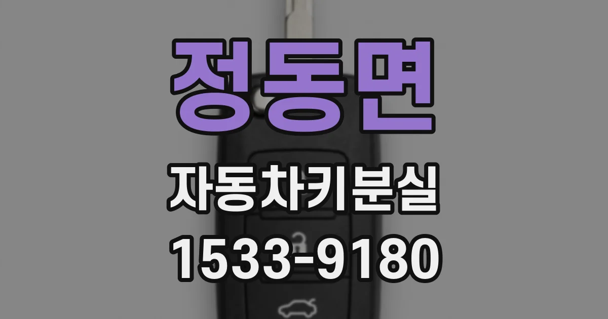 정동면 자동차키분실