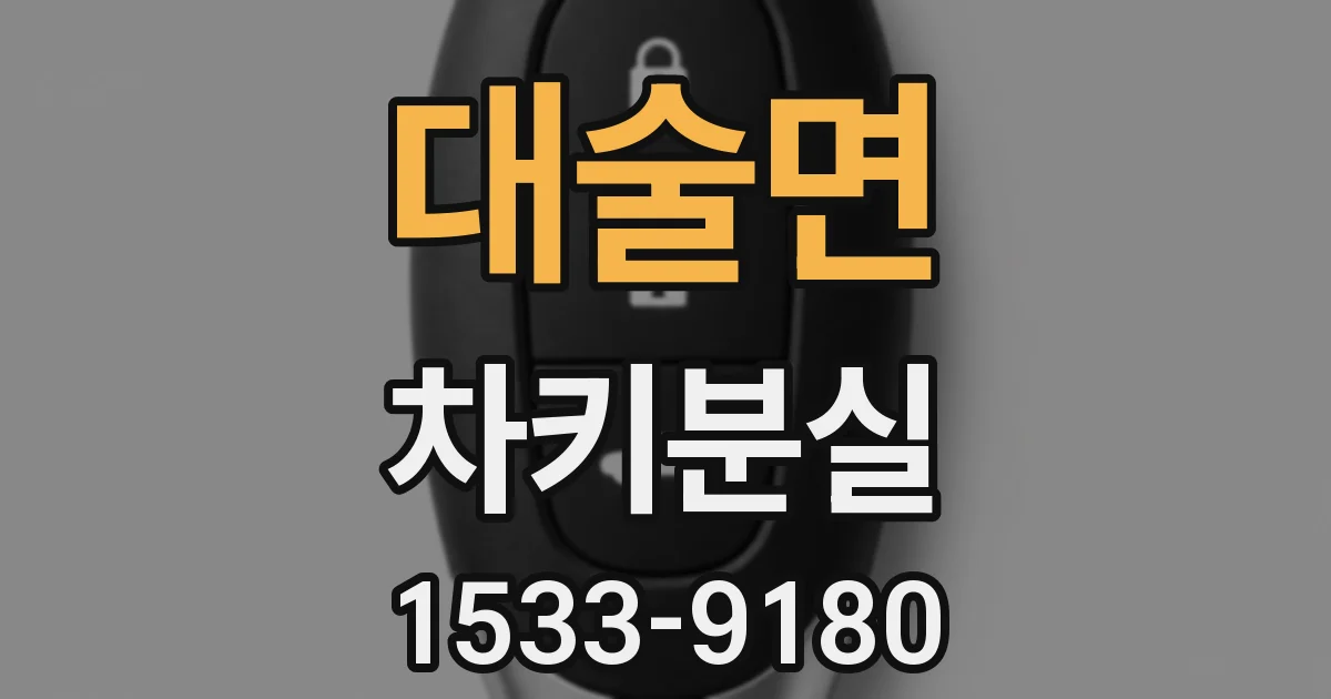 대술면 차키분실