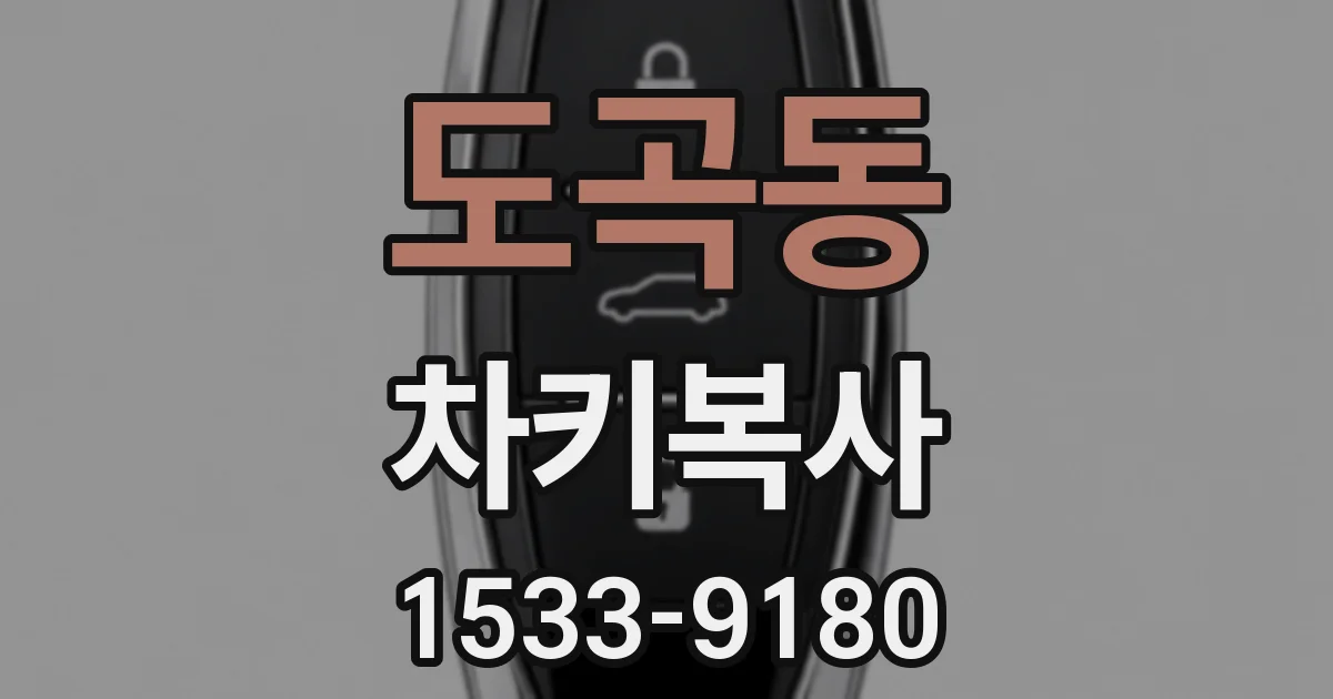 도곡동 차키복사