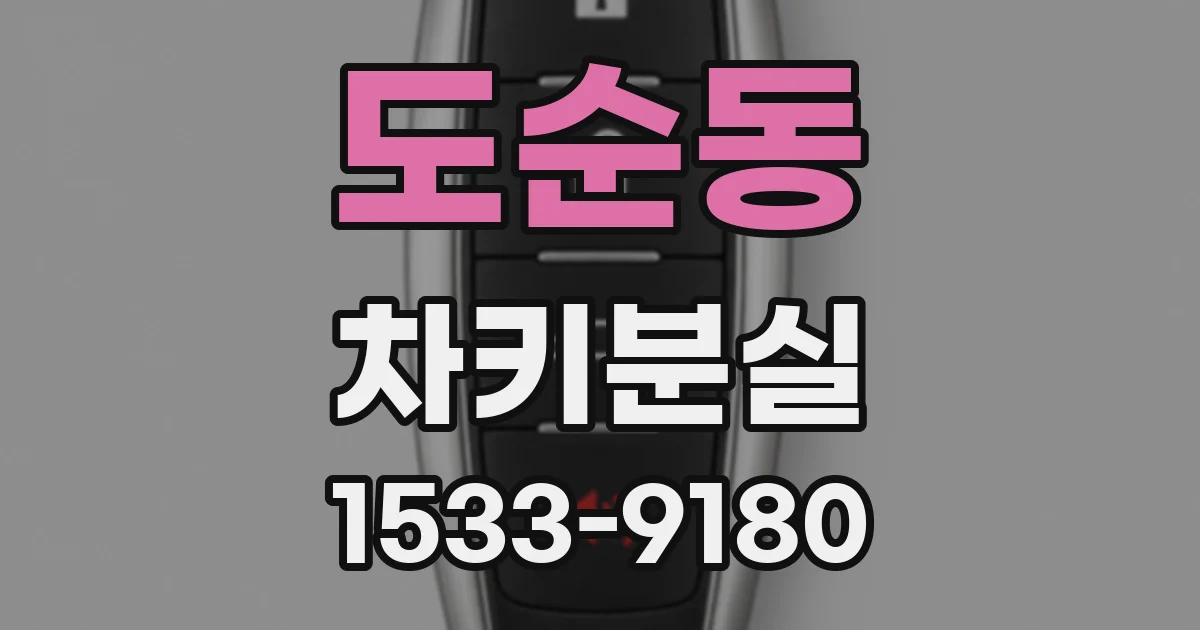 도순동 차키분실