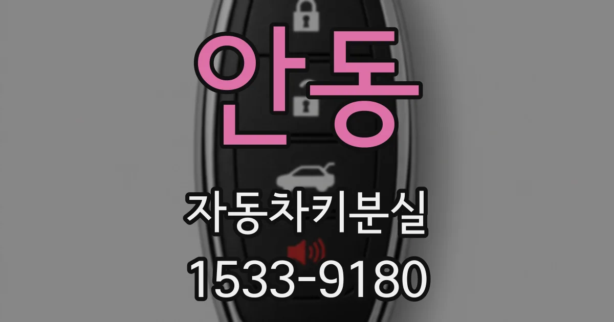 안동 자동차키분실