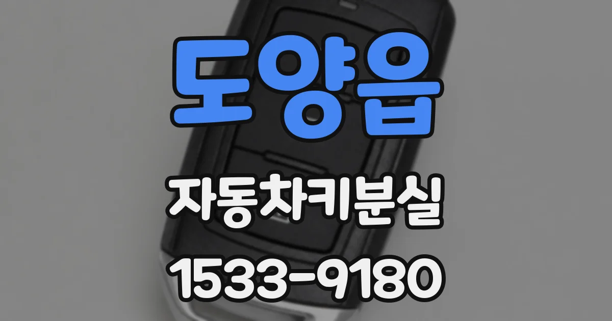 도양읍 자동차키분실
