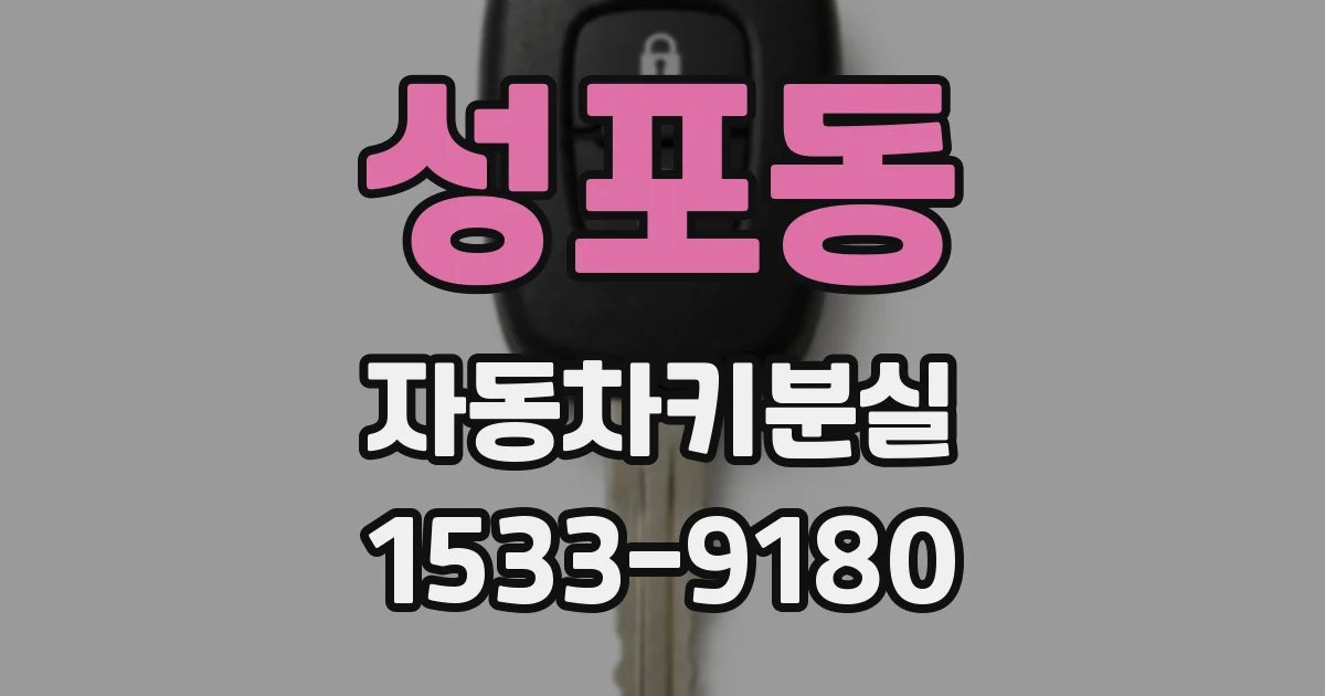 성포동 자동차키분실