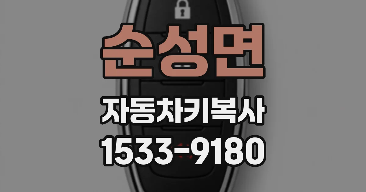 순성면 자동차키복사