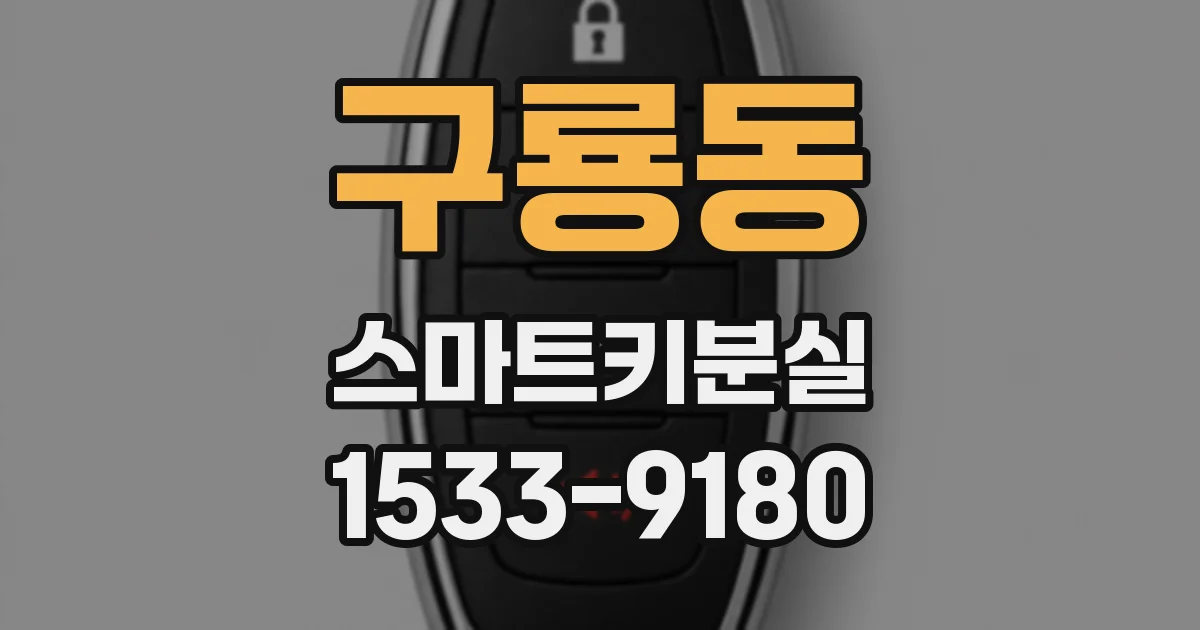 구룡동 스마트키분실