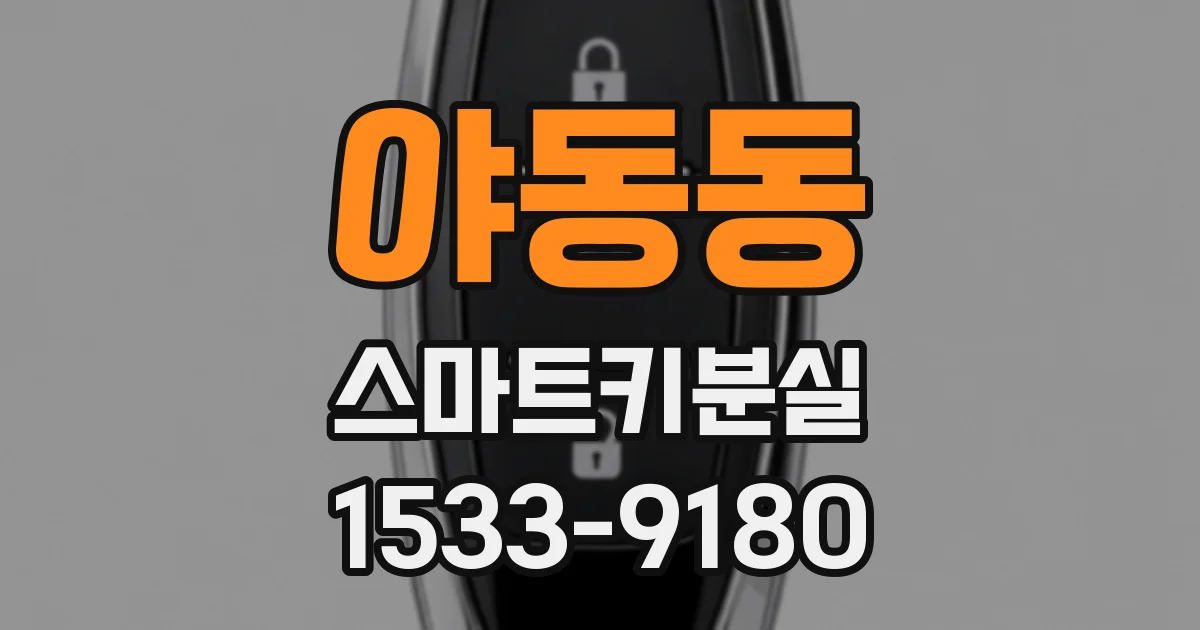 야동동 스마트키분실