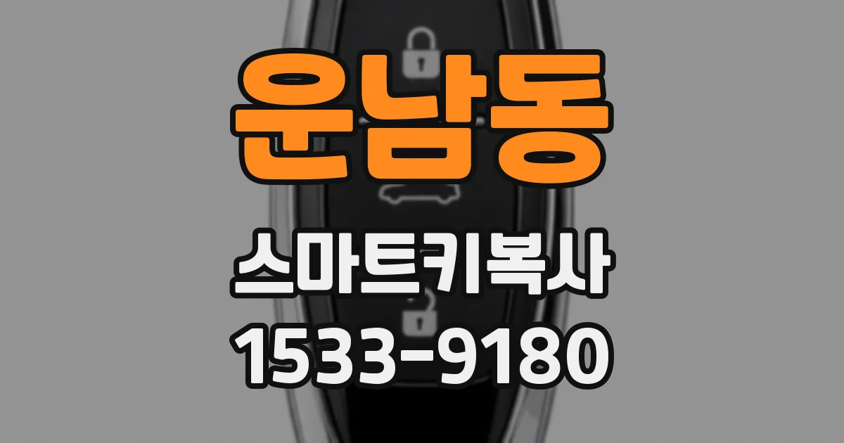 운남동 스마트키복사