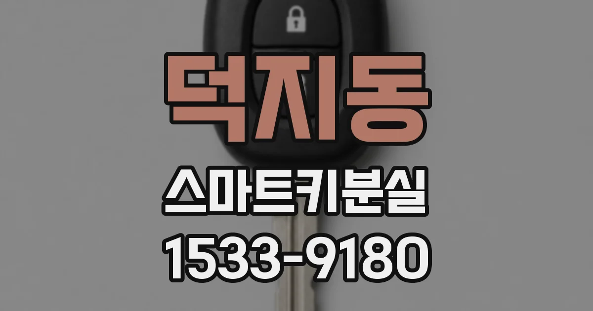 덕지동 스마트키분실