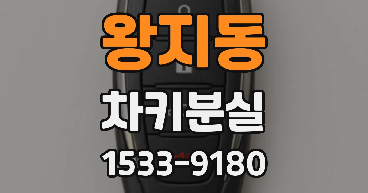 왕지동 차키분실
