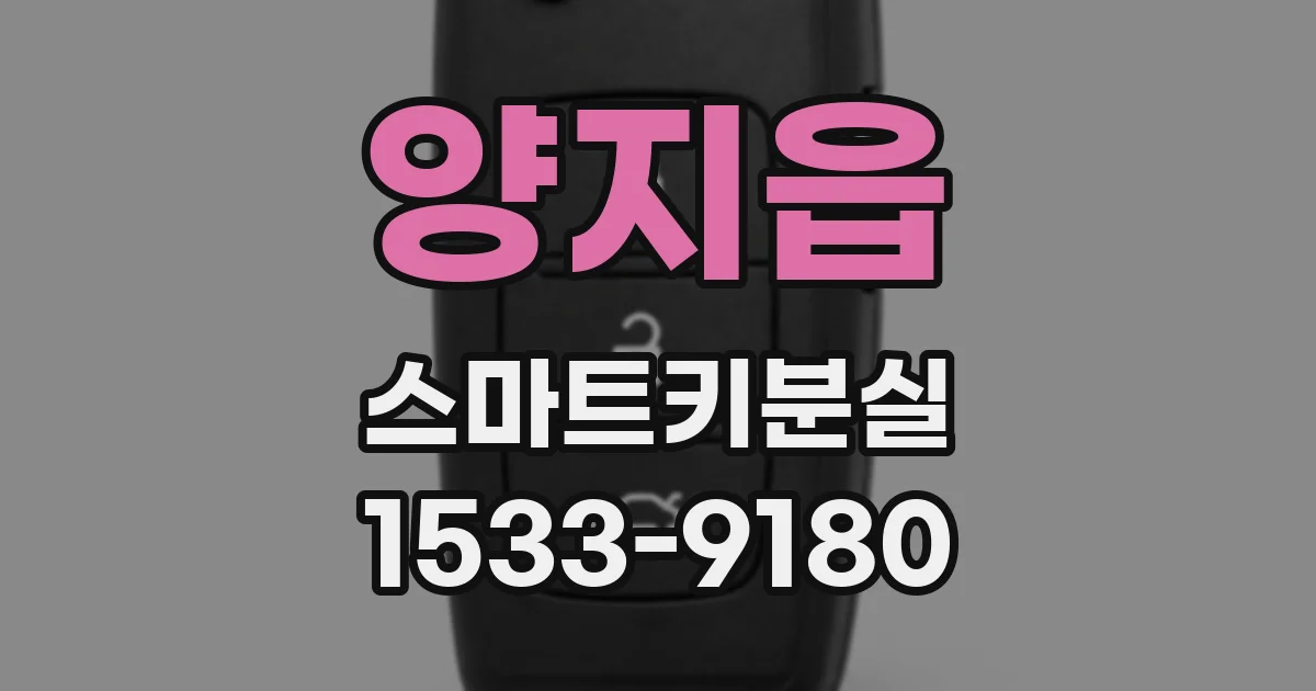 양지읍 스마트키분실