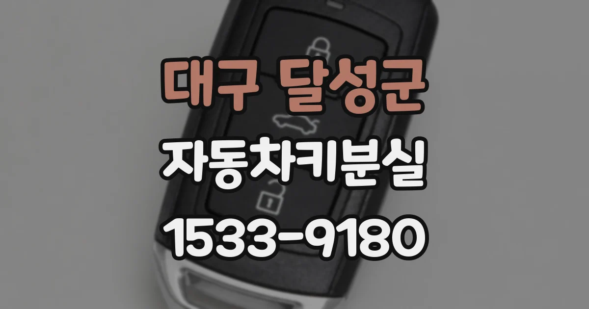 대구 달성군 자동차키분실
