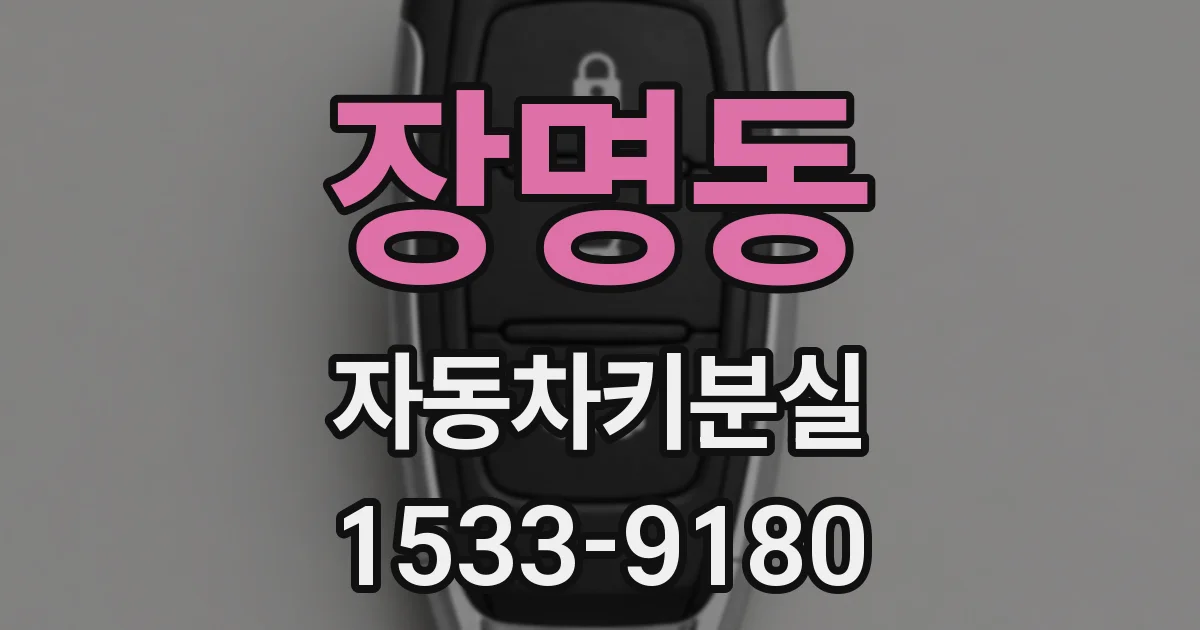 장명동 자동차키분실