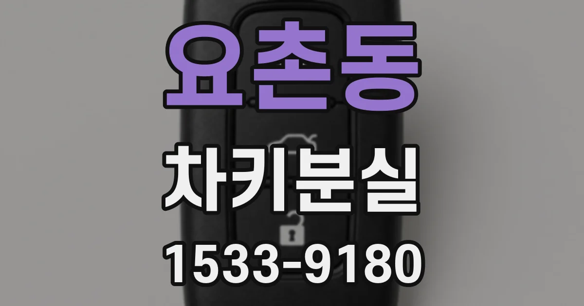 요촌동 차키분실