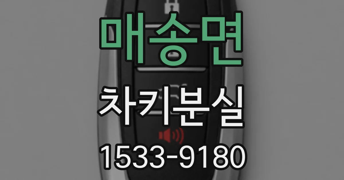 매송면 차키분실