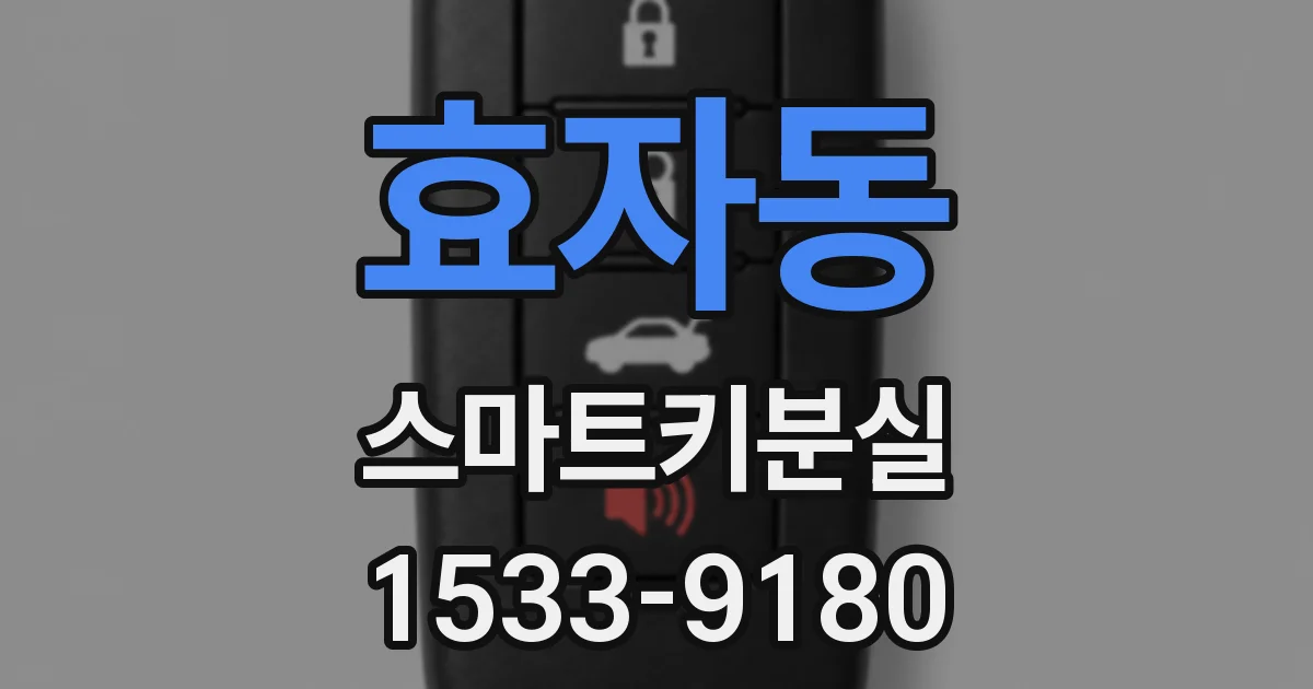 효자동 스마트키분실