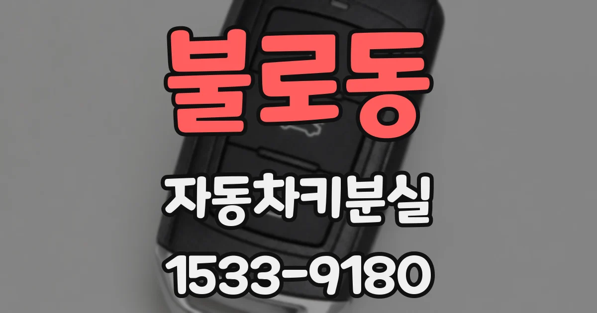 불로동 자동차키분실