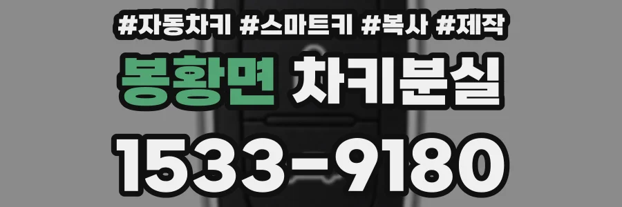 봉황면 차키분실