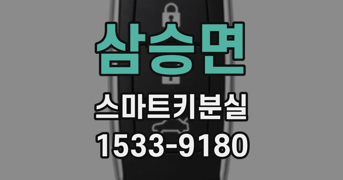 삼승면 스마트키분실