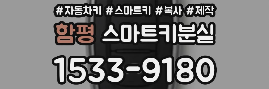 함평 스마트키분실