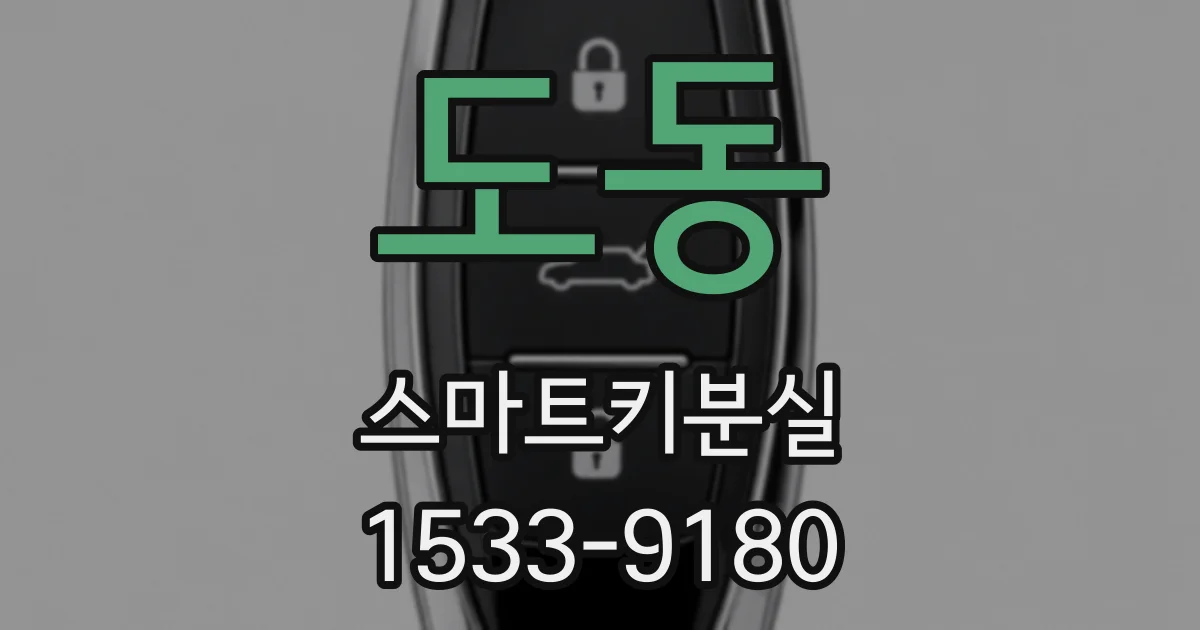 도동 스마트키분실