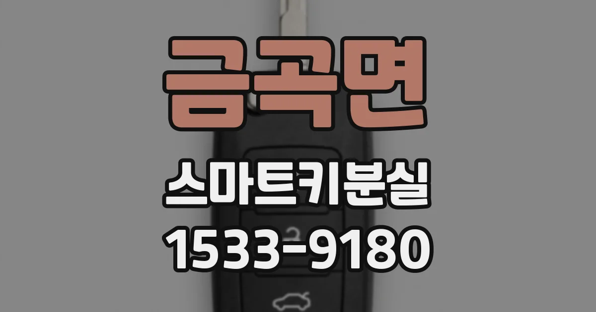 금곡면 스마트키분실