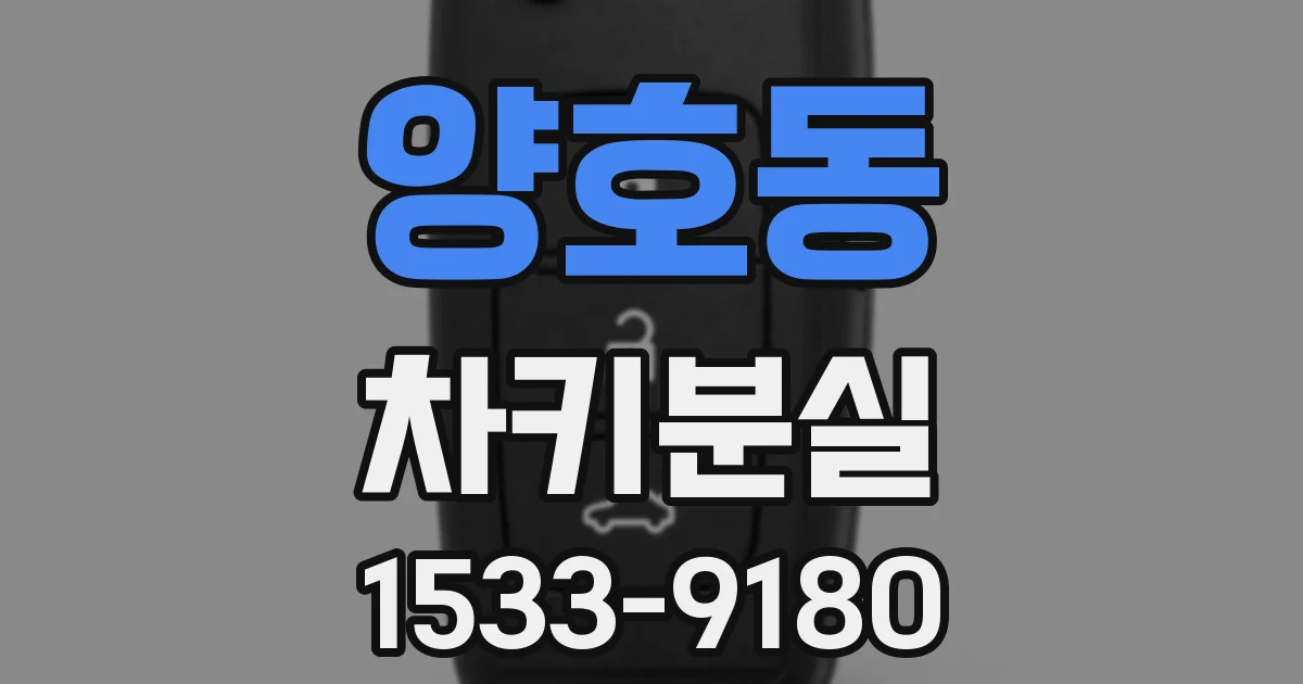 양호동 차키분실