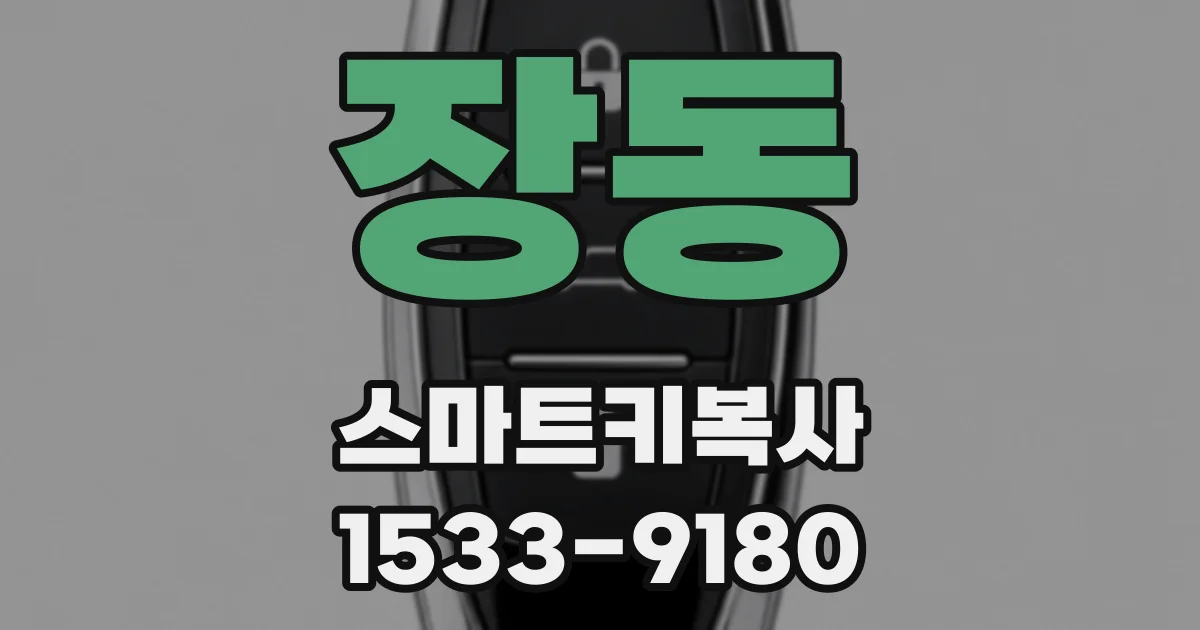 장동 스마트키복사