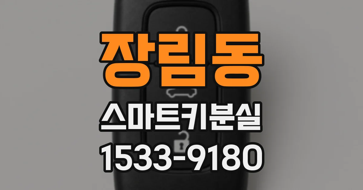 장림동 스마트키분실
