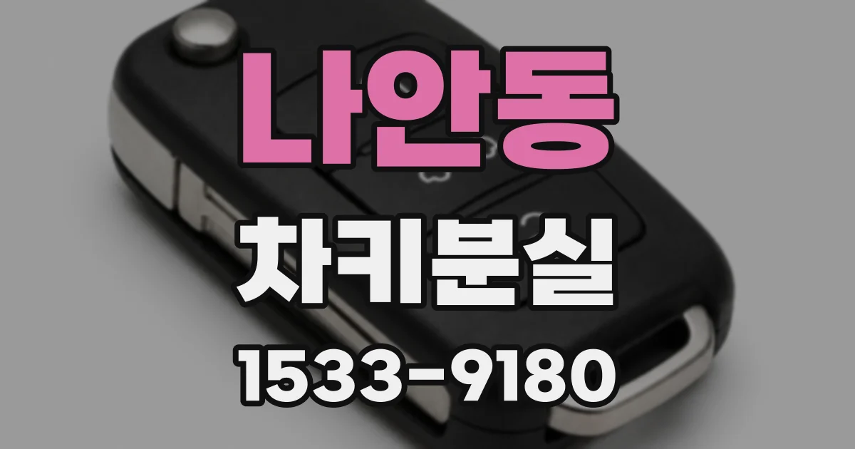 나안동 차키분실