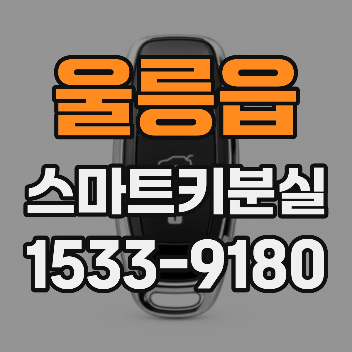 울릉읍 스마트키분실