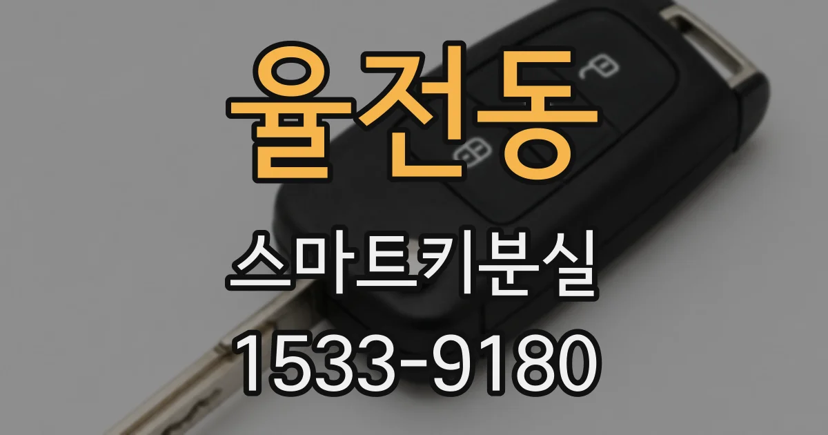 율전동 스마트키분실