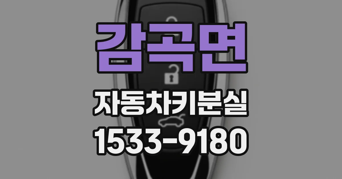 감곡면 자동차키분실