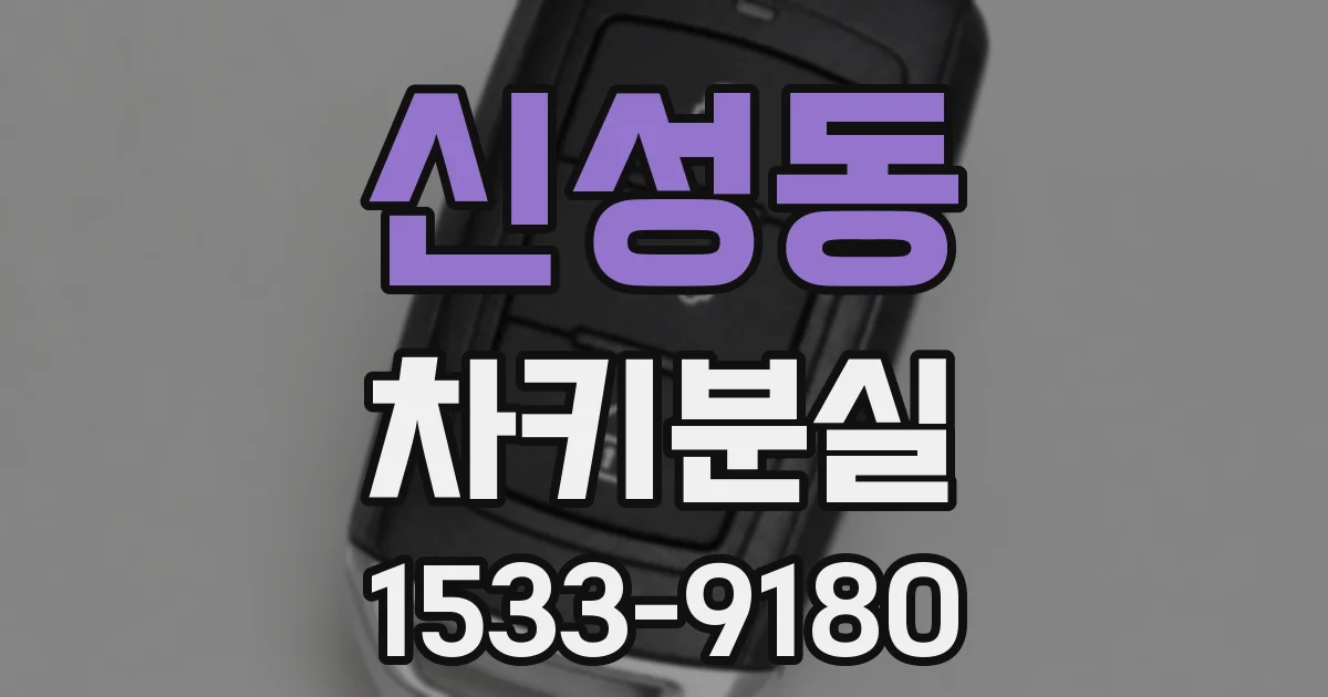 신성동 차키분실